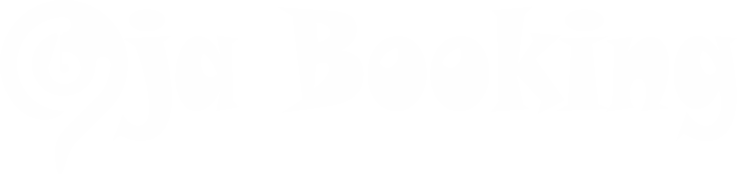 exclusive partner